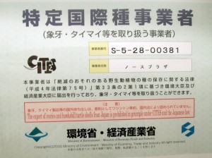 特定国際種事業者（ブログ用）